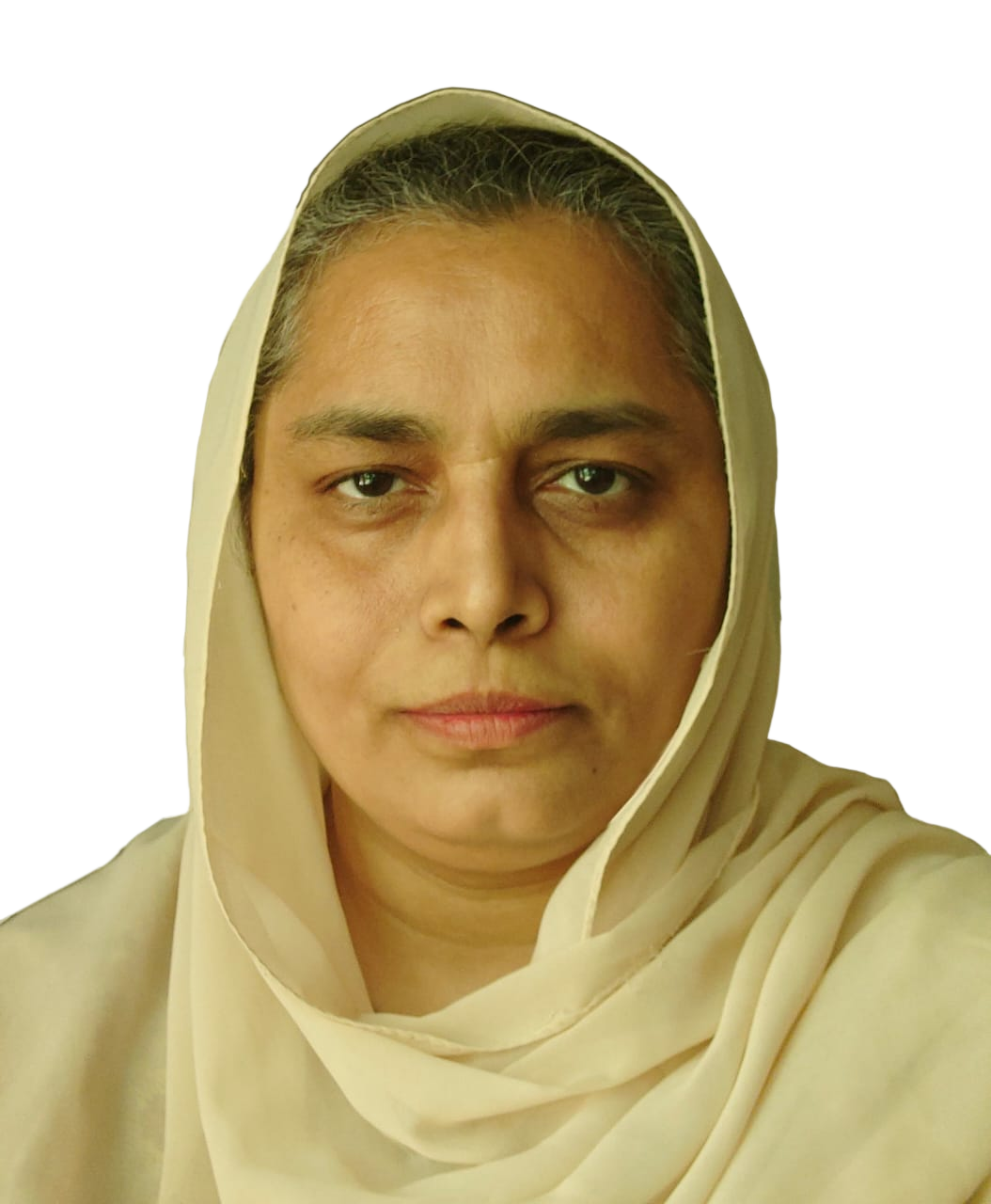Saima